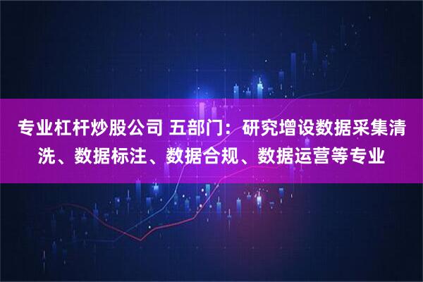 专业杠杆炒股公司 五部门：研究增设数据采集清洗、数据标注、数据合规、数据运营等专业