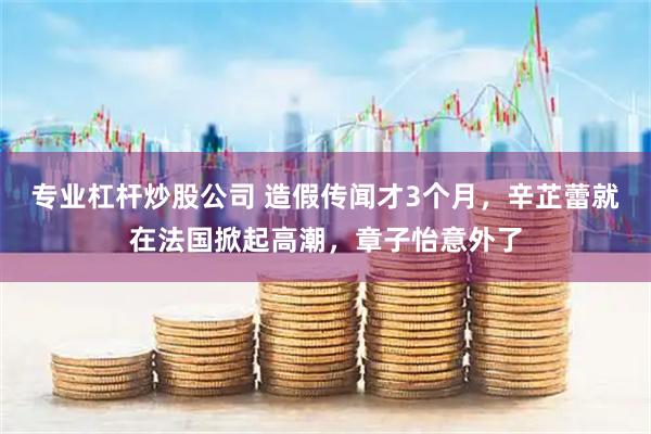 专业杠杆炒股公司 造假传闻才3个月，辛芷蕾就在法国掀起高潮，章子怡意外了